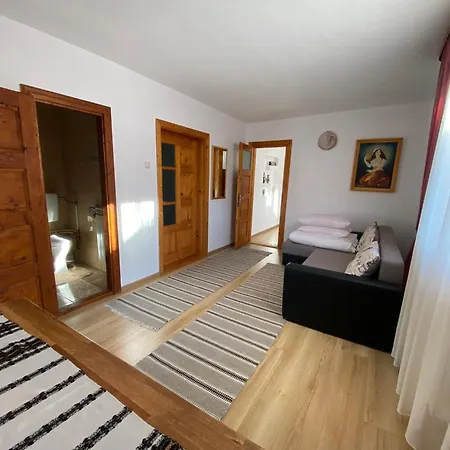 Pensiunea Irina 3*