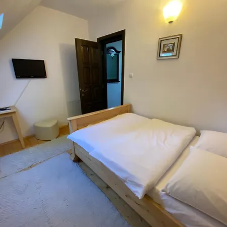 Pensiunea Irina 3* Botus